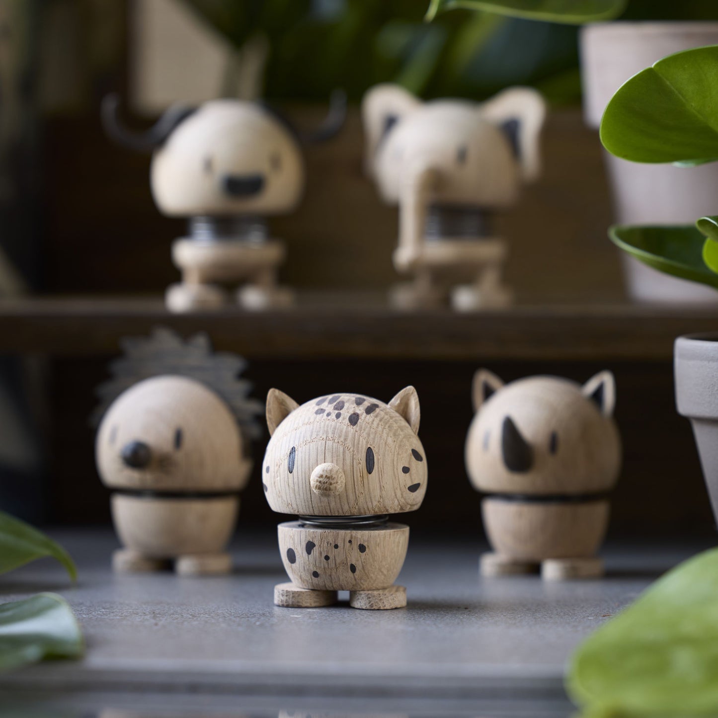 Hoptimist Leopard Oak